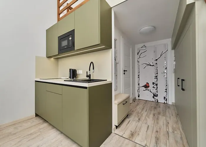 Airport Zarembowicza By Renters